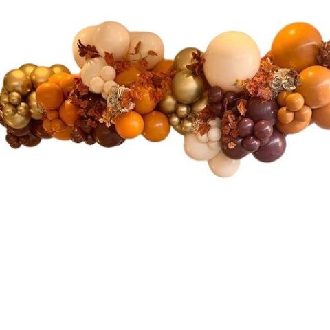 Ceiling Balloon Garland
